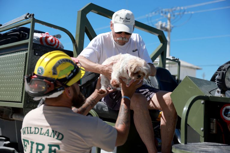 a man stands on a truck and hands a small dog down to another person, helping to rescue animals during Hurricane Ian
