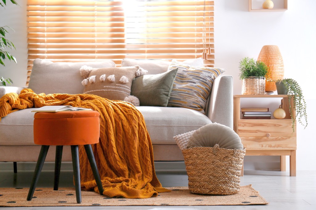 Liudmila Chernetska/ iStock