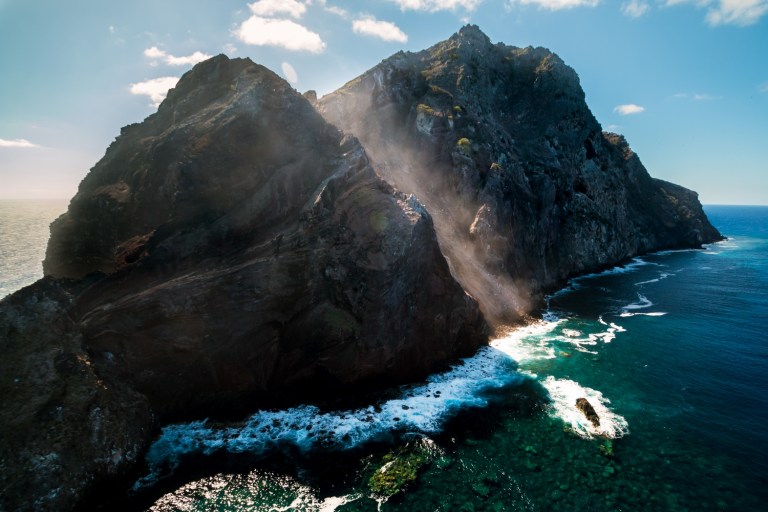 Ed Marshall, Fauna & Flora