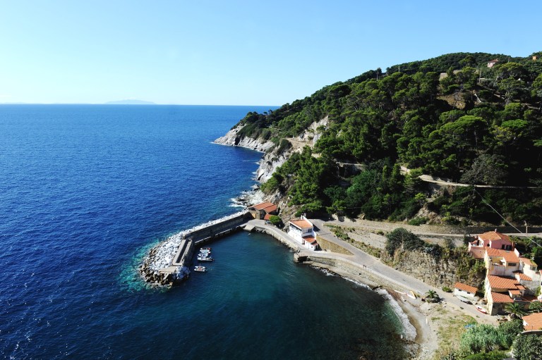 Laura Lezza/Getty Images