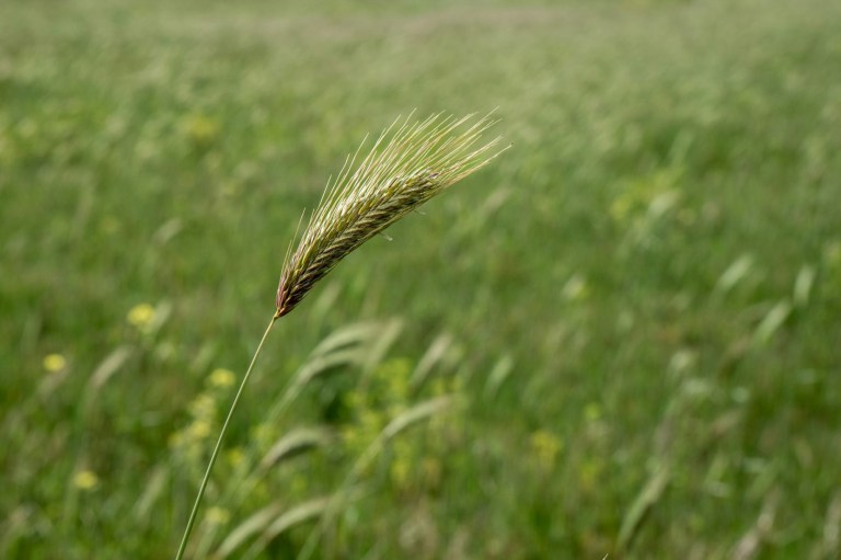 Dario Argenti/Moment via Getty Images