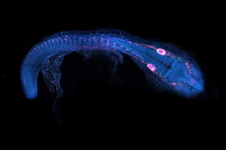 Dr. Aleksandra Marconi / SWNS