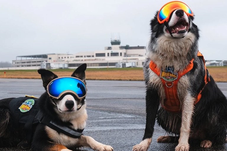 CRW HERCULES / INSTAGRAM