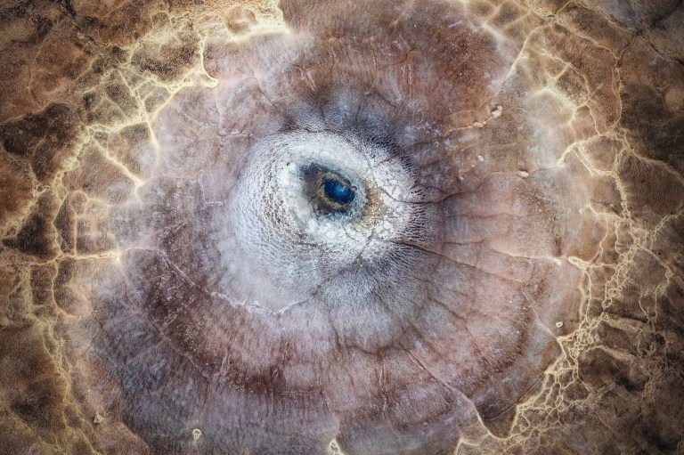 Pawel Zygmunt/Nat Geo / SWNS